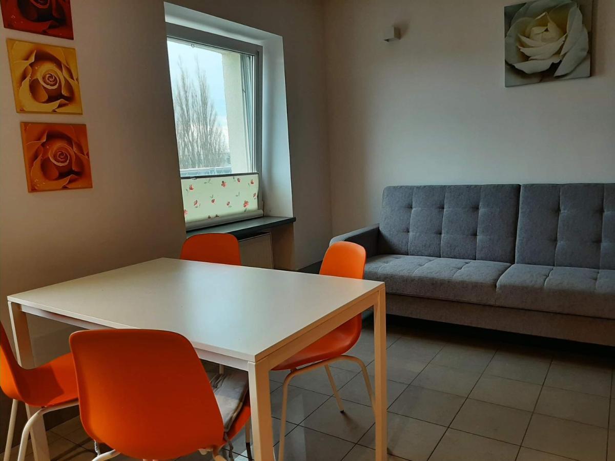 דירות קולובז'ג Apartament Zosia מראה חיצוני תמונה